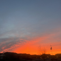 #287 inspiration + opportunity