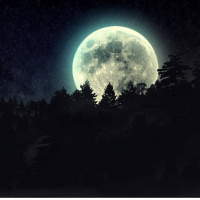 Leverage Under The Moon