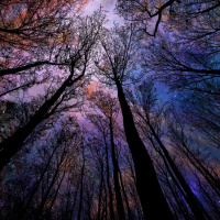 11-11 Portal Just Past The World IS YOURS