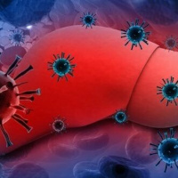 CBD hilft bei Hepatitis