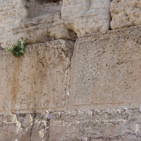 Cannabis-Fund in 2.700 Jahre altem Tempel