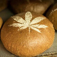 Hanfbrot – Kulturpflanze trifft Brotkultur