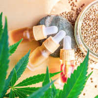 CBD verstehen: Wirkung, Anwendung und Erfahrungswerte