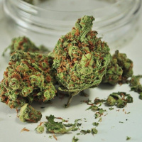 Microdosing – die rauschfreie Alternative