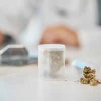 Medical Cannabis: Warum Europa auf Deutschland blickt