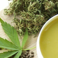 Transdermale vs. topische Applikation von Cannabinoiden: Worin liegen die Unterschiede?