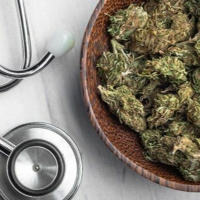 Cannabis Medikation auf Rezept – So geht es!