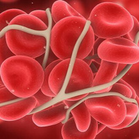 CBD gegen Durchblutungsstörungen