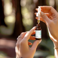 Der Begleiter für dein Wohlbefinden - Hanfosan CBD-Öl 10 %