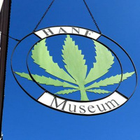 Cannabisszene Berlin