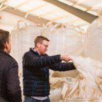 Im Bauch des Monsters