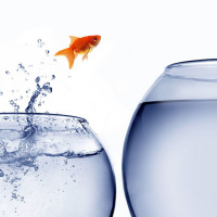 YMS Episode 18 -- Ambition