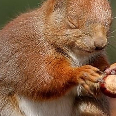 Youth Ministry Sherpas