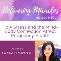 108: How Stress and the Mind-Body Connection Affect Pregnancy Health