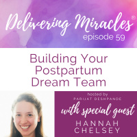 59: Building Your Postpartum Dream Team