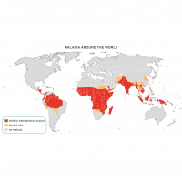 Die Gefahren durch Malaria