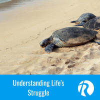 Understanding Lifes Struggles