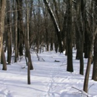 Spirituality and Tea