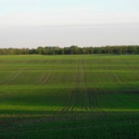 Spirituality and Being Organized