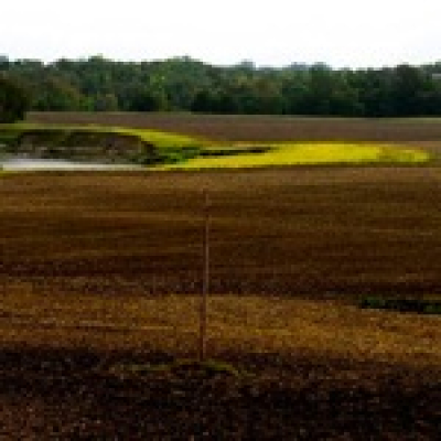 Micah Podcast: The Heart Of The Matter