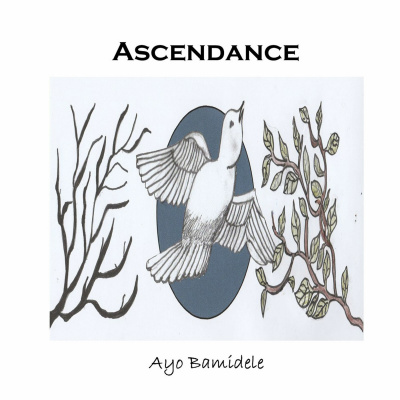 Ayo Bamidele Acoustic Soul  Folk