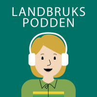 Ep. 8 Landbrukspolitikk før og nå med Per Harald Grue