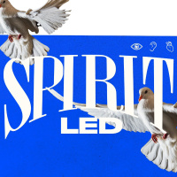 SPIRIT LED