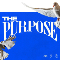 THE PURPOSE