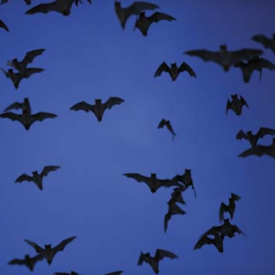 Parts Of Art With Mic  Braden