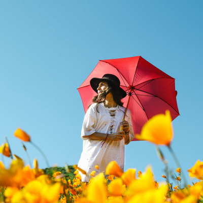 Womens Bible Studies