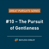 Why Gentleness Is Not Weakness: The Great Pursuits Series Part 10