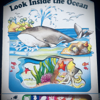 Look Inside the Ocean wiiiid Me