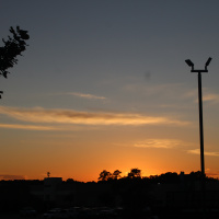  Intentionally Strategic