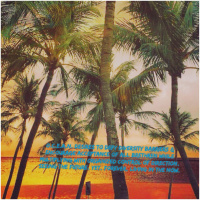 Look at the Pulsating Books Highlight