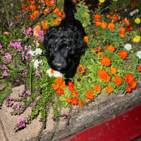 TIOE BY Terry Mcmillan (Part 1)