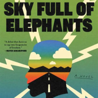 What do you see from the imagery?