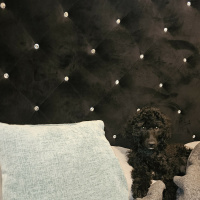 Terry McMillan TIOE Ch.11