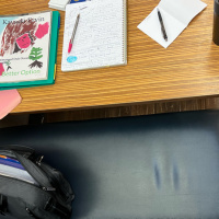 TIOE by Terry McMillan (Part 2)