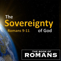 Human Responsibility Ambassadors