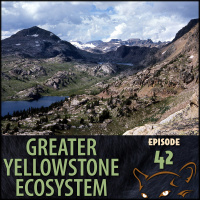 Episode 42: Absaroka-Beartooth Wilderness