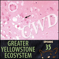 Episode 35: Chronic Wasting Disease