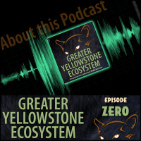 Episode 37: About This Podcast