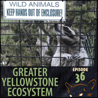 Episode 36: How Animals End Up In Sanctuaries