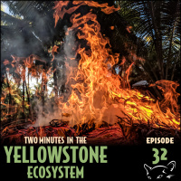 Episode 32: Fire
