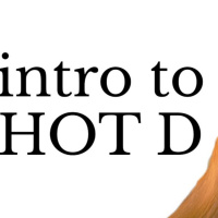 Stop for Hot D or just rambling