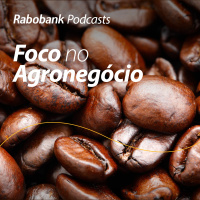 Olho no mercado – Café: Nova Safra Brasileira Chegou! O que esperar? 