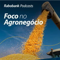 Olho no Mercado l Atualização mercado de grãos