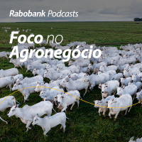 Olho no Mercado | Brasil é certificado como livre de febre aftosa sem vacinação