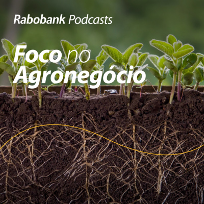 Foco No Agronegócio - Pesquisa Setorial