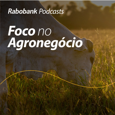 Foco No Agronegócio - Pesquisa Setorial